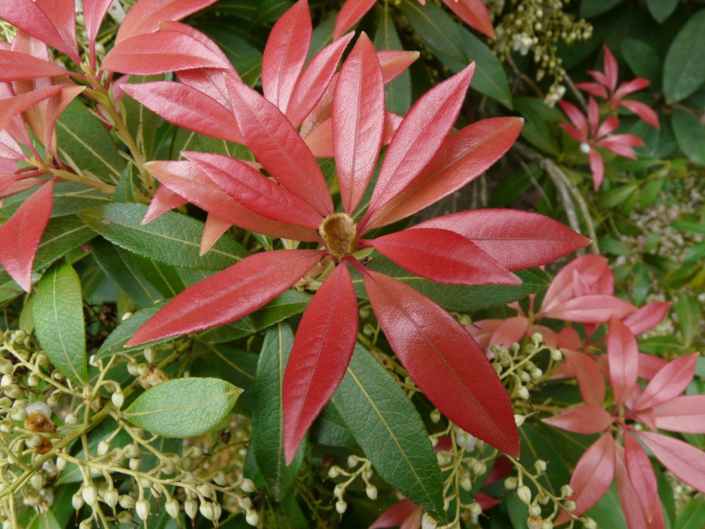 Le chemin de la&nbsp;miséricorde