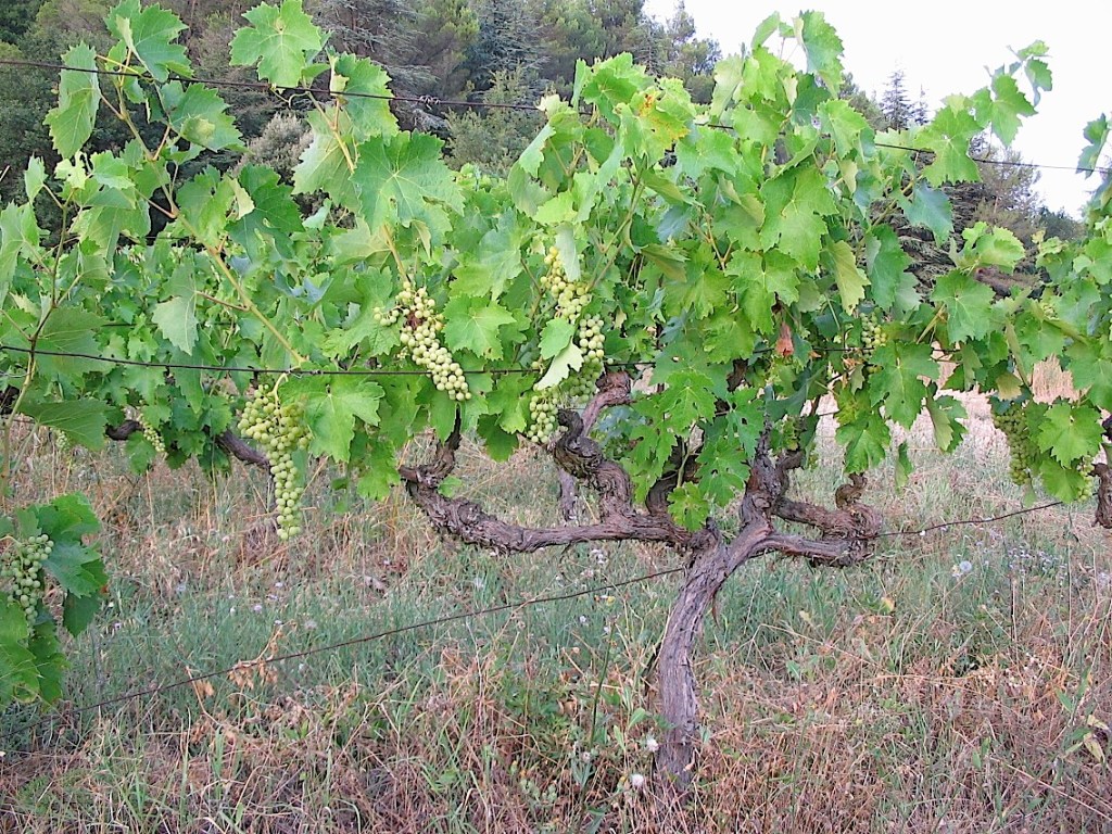 Une leçon de&nbsp;générosité