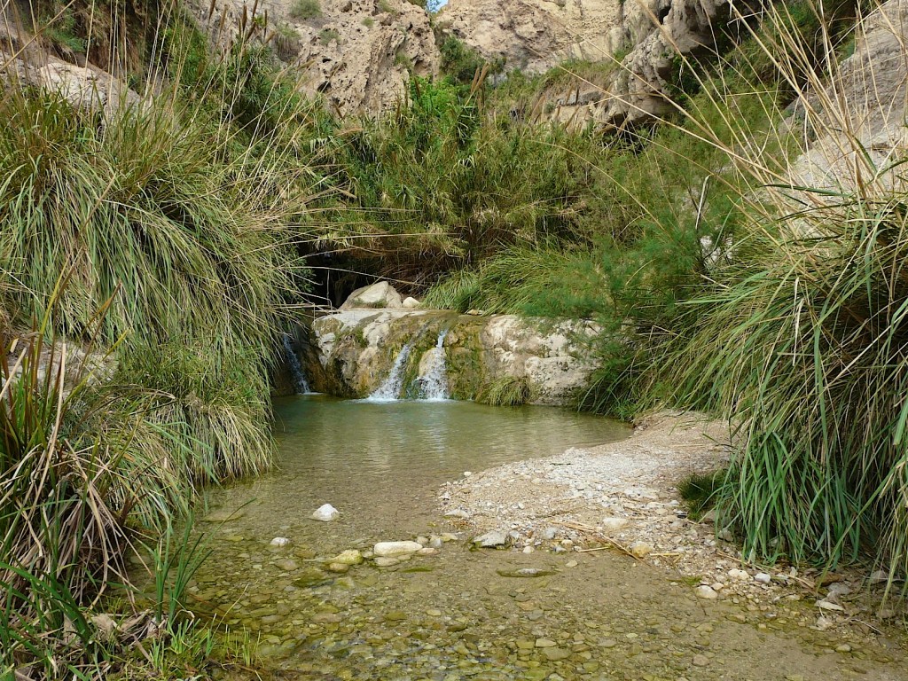 Le temps du Carême pour aller à la source du&nbsp;baptême