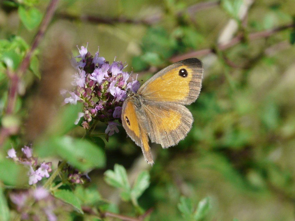 Pâques 6 – Année&nbsp;A